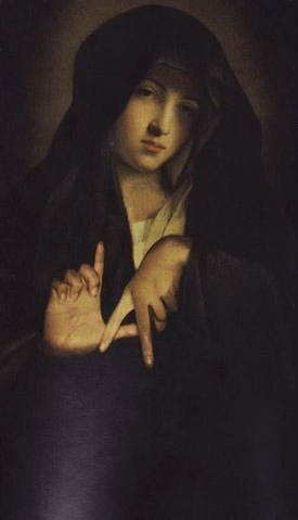 Continued Improvement in Software&nbsp;Products