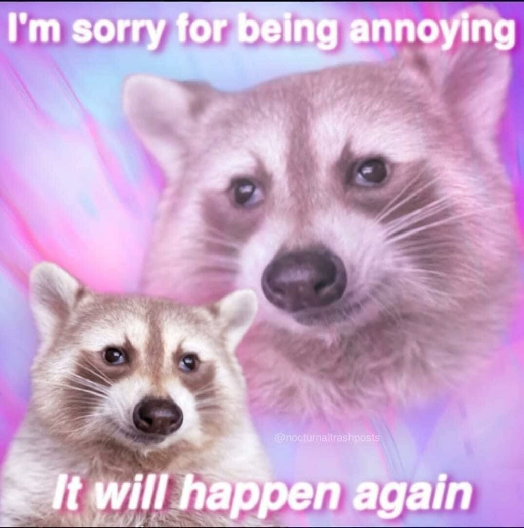 A raccoon shown twice in a pink and turquoise 1980's junior high graduation photo format, captioned "I'm sorry for being annoying, it will happen again"